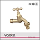 Vaote